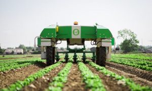 Mercado de robôs agrícolas deve crescer 25,5% ao ano até 2026
