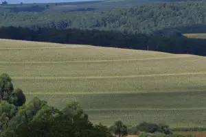 Comissão aprova destinar imóvel apreendido do tráfico para reforma agrária