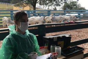 Setor privado: veterinários devem se recadastrar na Adapar