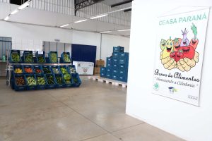 Ceasa Paraná abre inscrições para concurso público