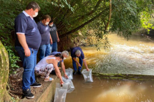 Cinco mil peixes são soltos em rio no Paraná