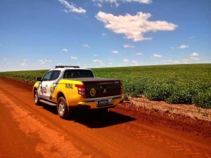 Vaca é abatida e levada por ladrões em propriedade rural