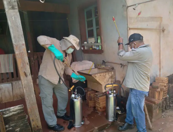 Agentes de Endemias e 20 Regional da Saúde na caça ao bicho barbeiro