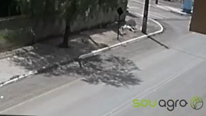 Inusitado: mulher cai ao ser atropelada por cachorro