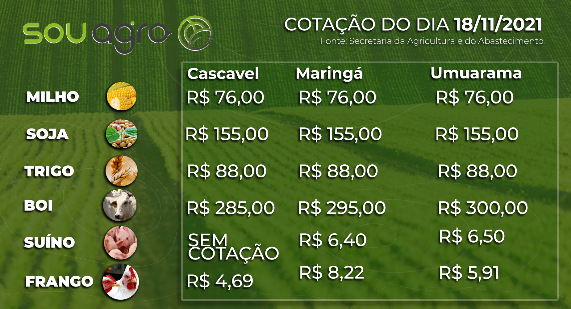 cotações