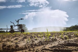 Especialistas debatem políticas para agricultura irrigada