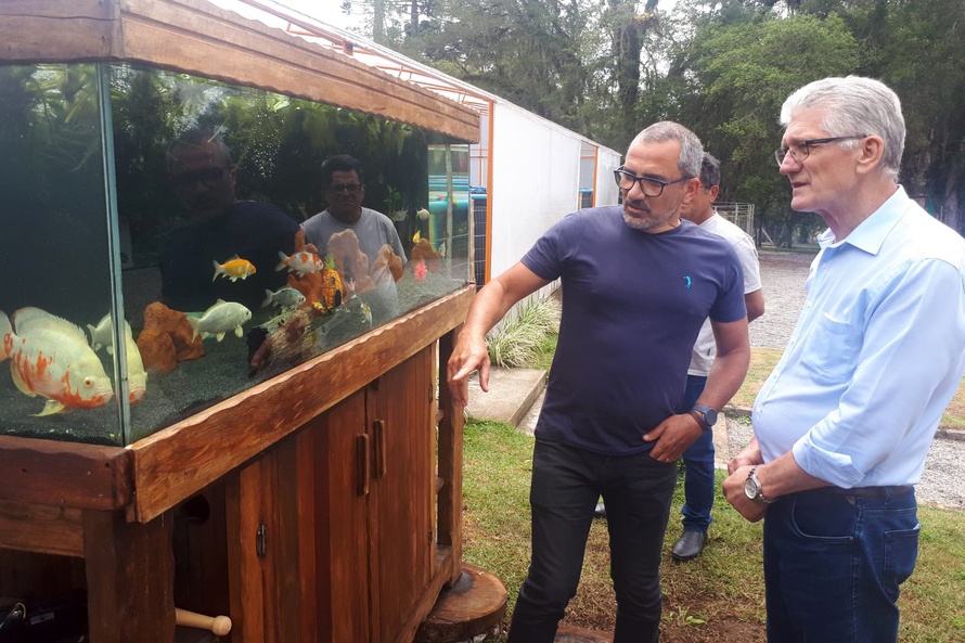 O secretário da Agricultura e do Abastecimento, Norberto Ortigara visita a Villa Peixes, em Curitiba. Foto:SEAB