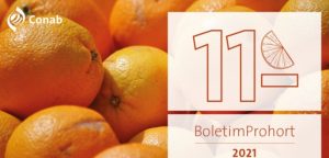 AO VIVO: 11º Boletim Prohort – comercialização nas Ceasas