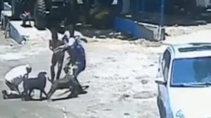 Salva pelos cachorros: loja de máquinas agrícolas é assaltada e cães reagem