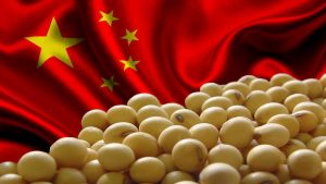 China inicia novembro importando soja dos EUA