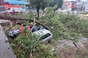 TEMPORAL: Paraná com 36 mil domicílios sem energia