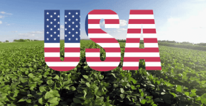 O mercado da soja e do milho pós relatório do USDA