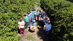 Mulheres no café: grupo do PR produz grãos especiais que conquistam o mundo