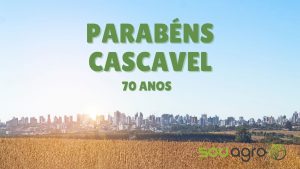 Cascavel e o agronegócio: 70 anos de um casamento perfeito