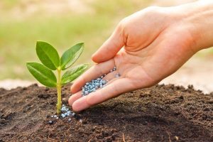 Fertilizantes: preços devem estabilizar em meados de 2022
