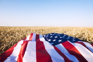 Estados Unidos exportam 400 mil toneladas de trigo