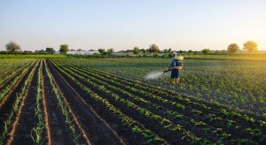 Mapa registra quatro defensivos agrícolas inéditos