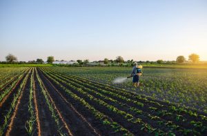 Senado debate regulamentação da Lei dos Defensivos Agrícolas