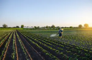 Senado debate regulamentação da Lei dos Defensivos Agrícolas