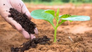 Ministra cria grupo de monitoramento sobre fertilizantes