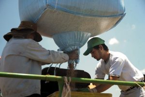 Alta de insumos preocupa agricultores