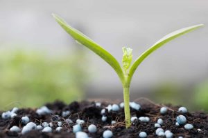 VÍDEO: perspectivas para o mercado de fertilizantes