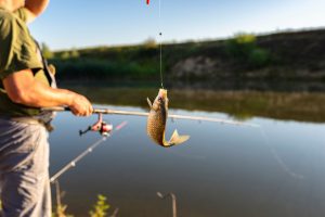 Pesca de peixes nativos está proibida no Paraná