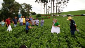 Resultados de tecnologias agrícolas serão mostrados no Giro Técnico da Soja