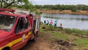 INUSITADO: fugiu de abelhas mas morreu atacado por piranhas