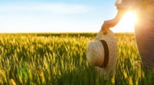 Mulheres no agro: competência para fazer frente à desigualdade