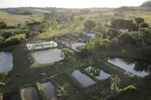 Estação de Piscicultura do PR ganha projeção internacional