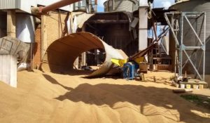 Silo com 80 toneladas de trigo cai e mata trabalhadores