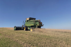 Brasil lidera produtividade agropecuária entre 187 países