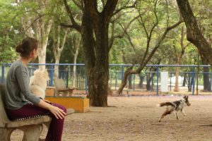 Estudo mostra que estilo de vida muda comunicação entre cães e humanos