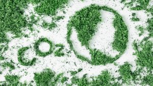 Brasil tem tudo para dominar o mercado de carbono