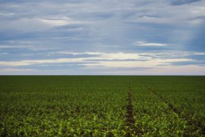 Como produzir em períodos de crise hídrica
