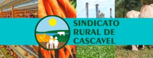 Sindicato Rural repudia campanha do Bradesco sobre consumo de carne
