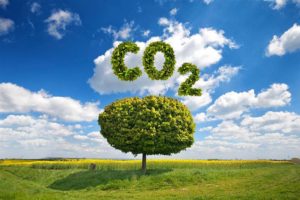 Mercado de carbono: como o Brasil se destaca no setor?