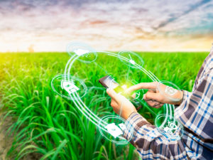 Crise de insumos: a importância da agricultura de precisão digital