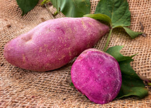 Pesquisa desenvolve batatas coloridas e biofortificadas