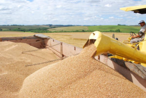 2022 deve ter safra recorde e custos de produção altos
