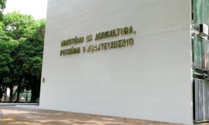 Mapa encontra irregularidades em mais de 15 mil produtos veterinários