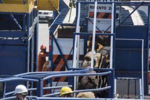 RS embarca mais de 11 mil bezerros para o Egito