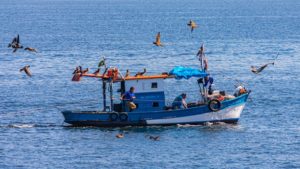 Para não perder licença, pescadores devem fazer recadastramento