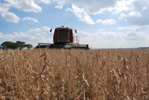 Agricultura brasileira terá US$ 1,2 bi para projetos sustentáveis