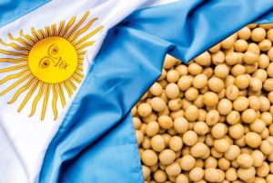 Saiba como está a safra de grãos na Argentina