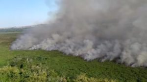 Fogo destrói área equivalente a 1.240 campos de futebol