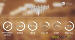 Oeste do Paraná: somos grandes, somos agro