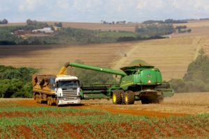 Grãos: oeste é a região do Paraná mais afetada pelas perdas