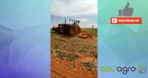 VÍDEO: Produtor passa roçadeira sobre soja ‘cozida’ pelo calor